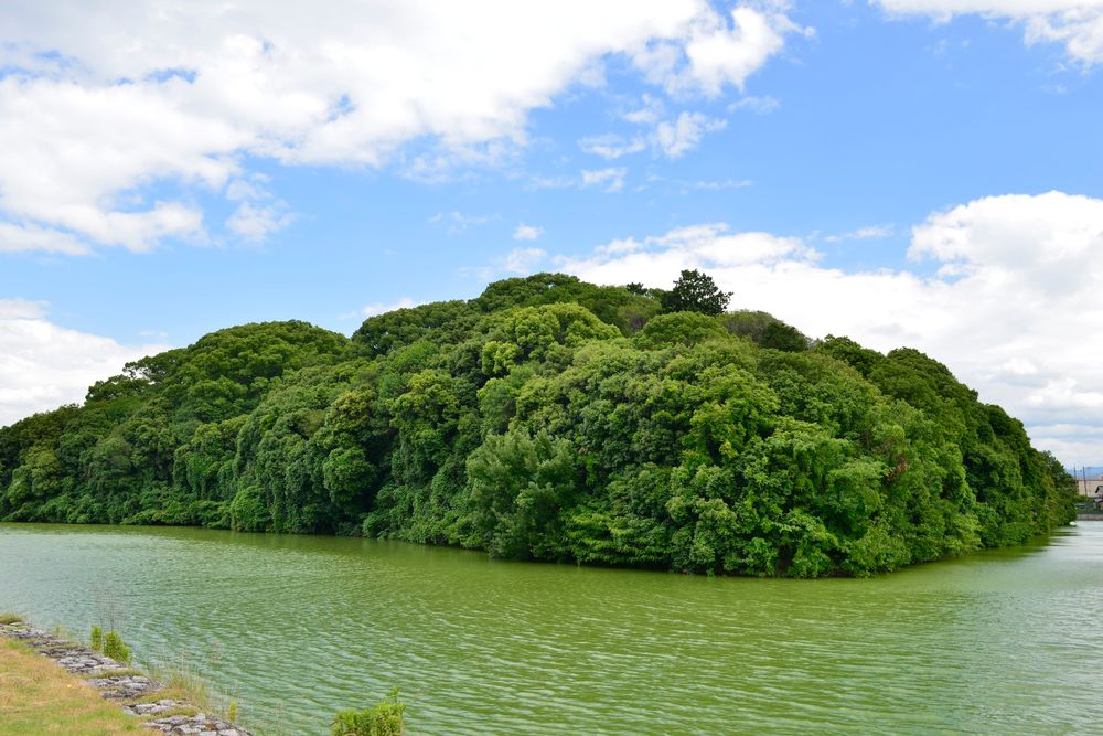 白鳥陵古墳の画像 - 2枚目