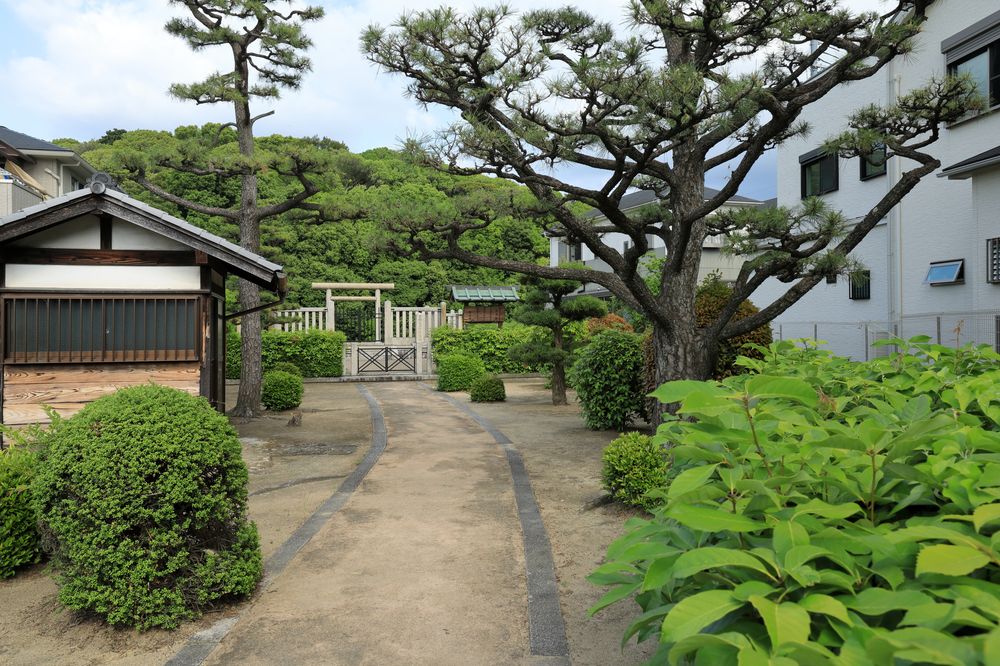 白鳥陵古墳の画像 - 3枚目