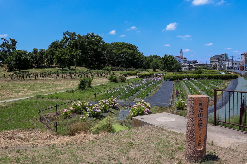 津堂城山古墳