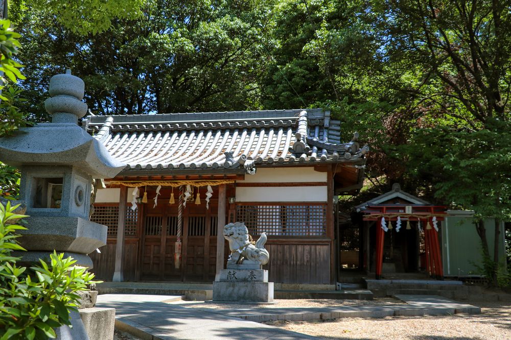 津堂城山古墳の画像 - 3枚目