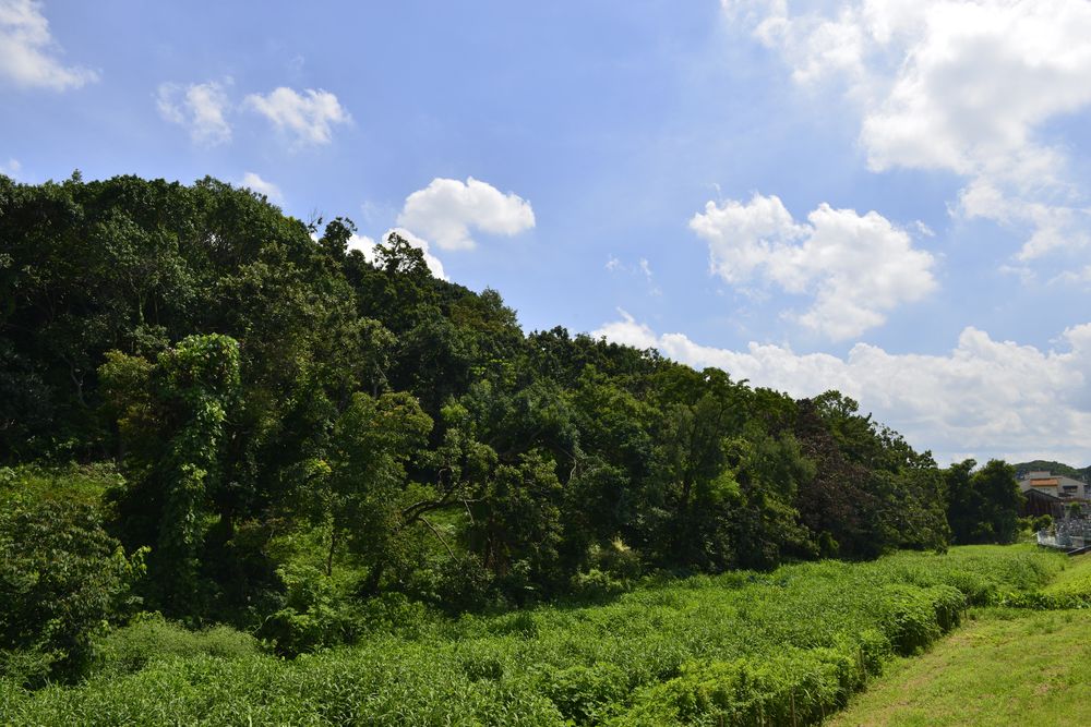 墓山古墳の画像 - 3枚目