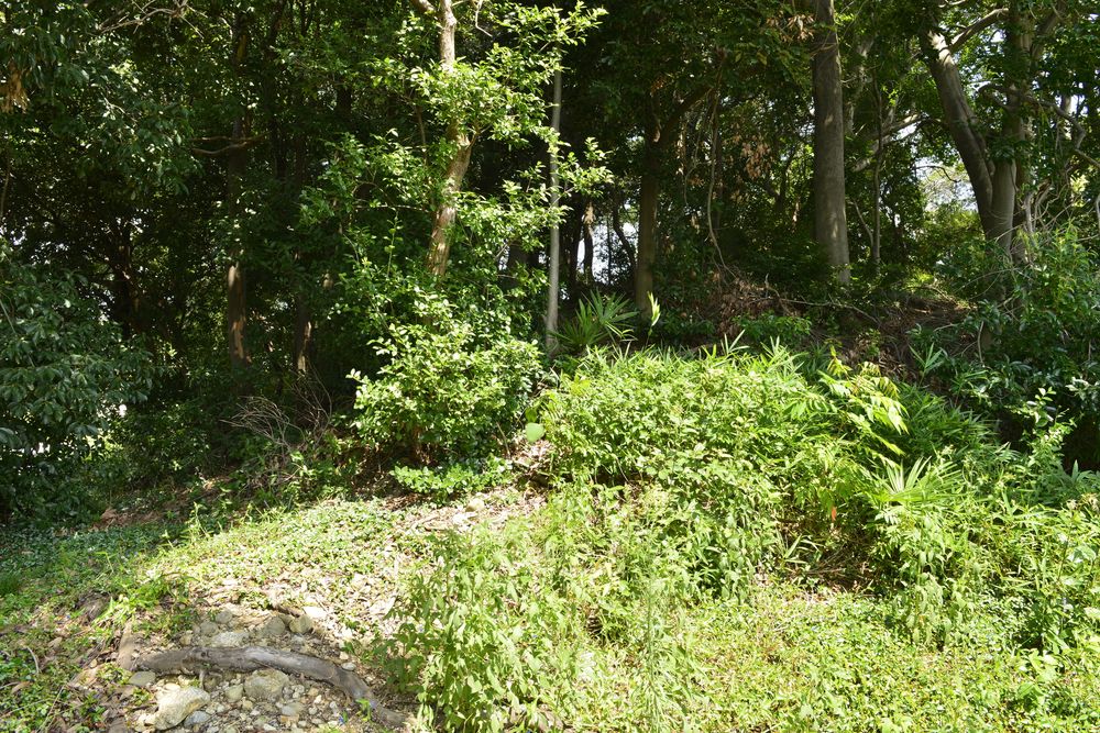 向墓山古墳の画像 - 2枚目