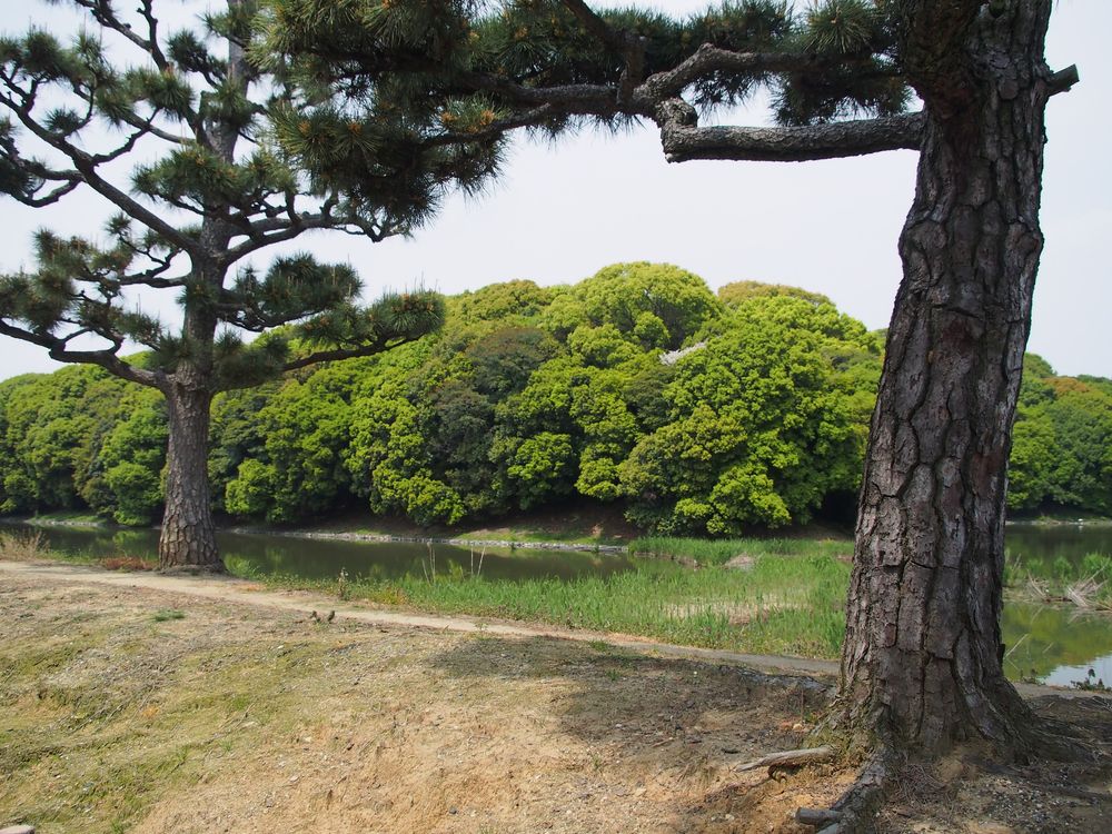 仲哀天皇陵古墳の画像 - 2枚目