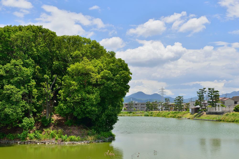 仲哀天皇陵古墳の画像 - 3枚目