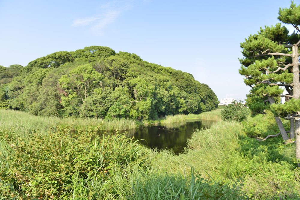 允恭天皇陵古墳の画像 - 2枚目