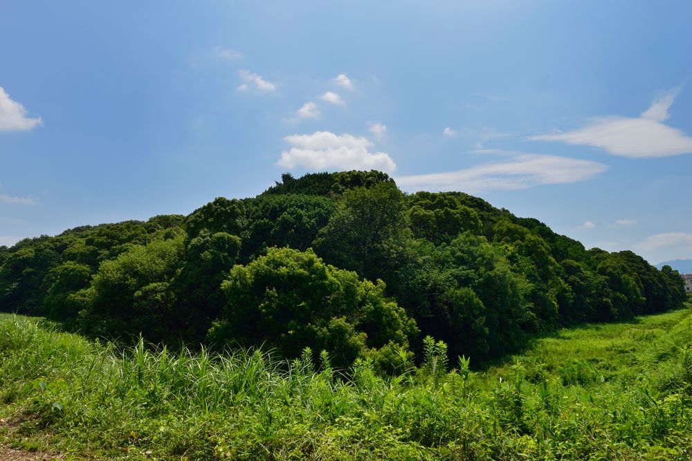 仲姫命陵古墳の画像 - 3枚目
