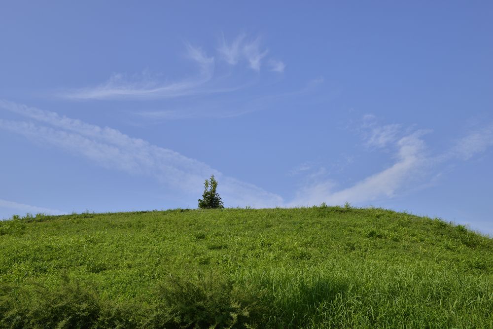 鍋塚古墳の画像 - 2枚目