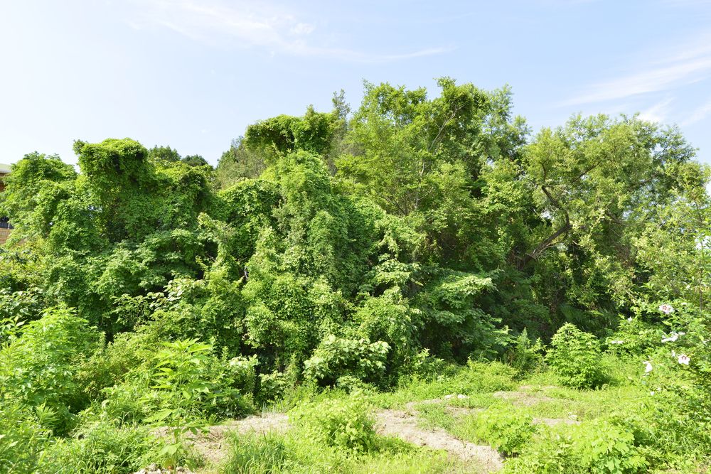 中山塚古墳