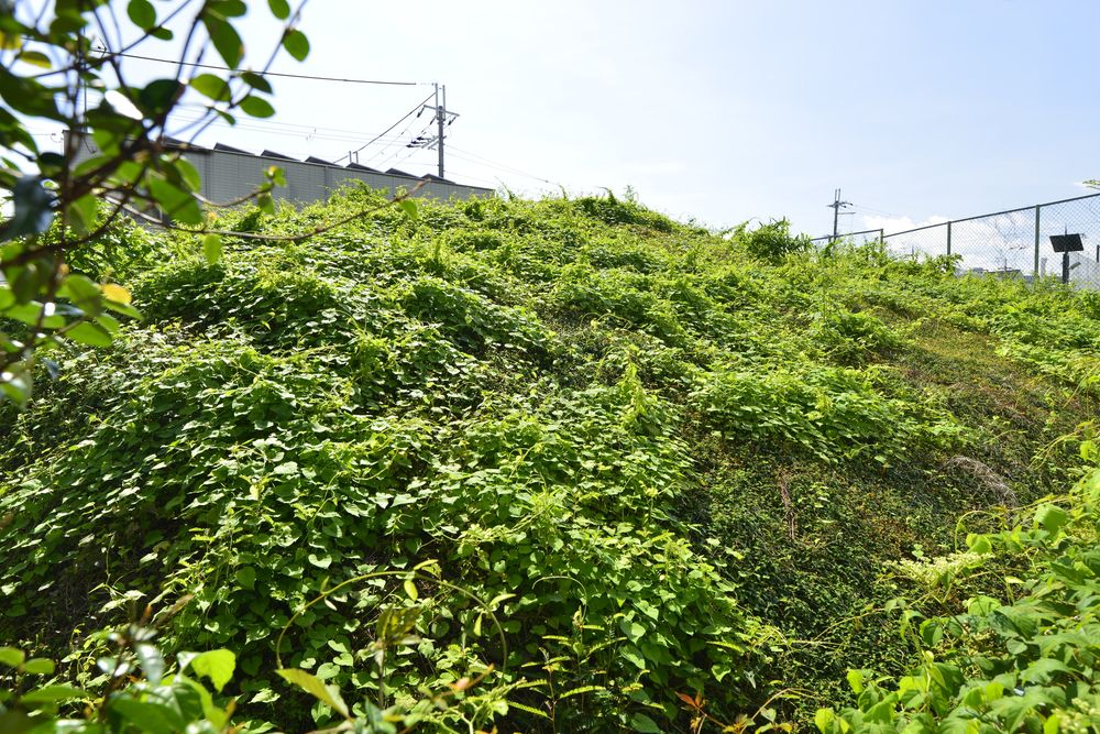 東馬塚古墳の画像 - 2枚目