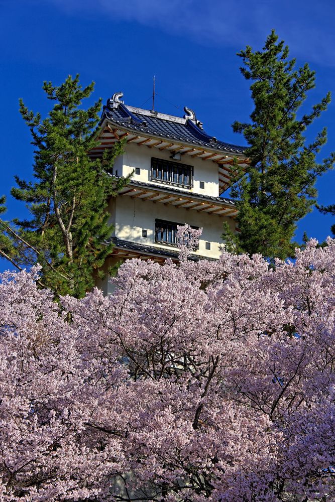 高遠城址公園の画像 - 2枚目