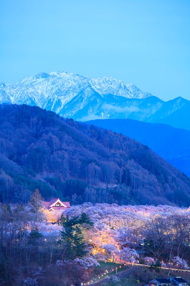 高遠城址公園の画像 - 3枚目