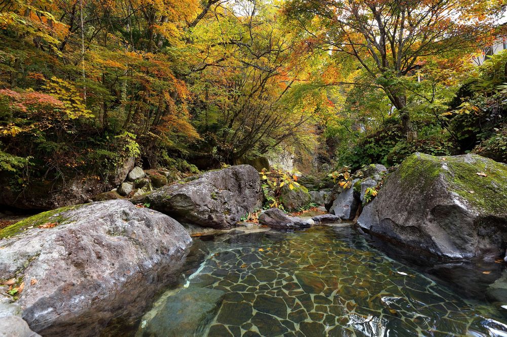 二岐温泉の画像 - 2枚目