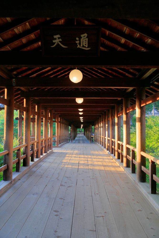 東福寺 東福寺】の周辺スポット・アクセス・口コミ - Prism Japan