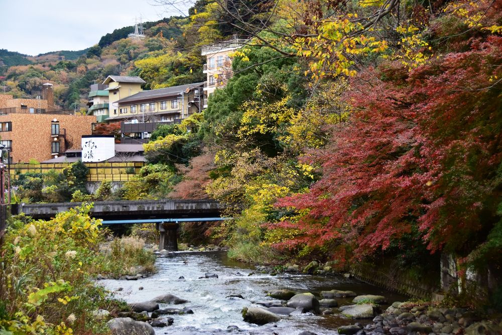 湯河原温泉の画像 - 3枚目