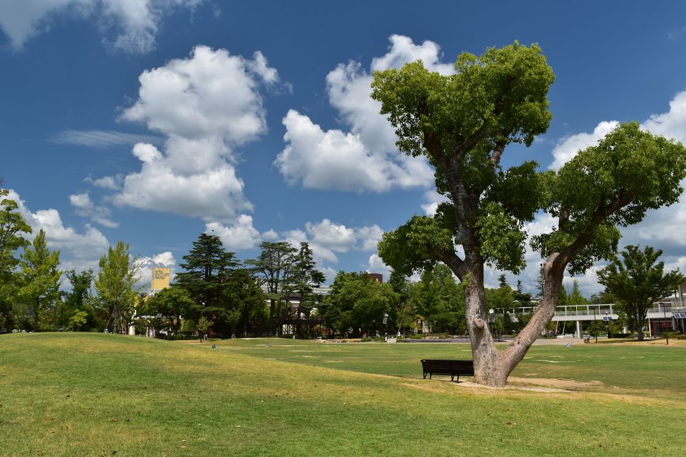 倉敷みらい公園の画像 - 3枚目