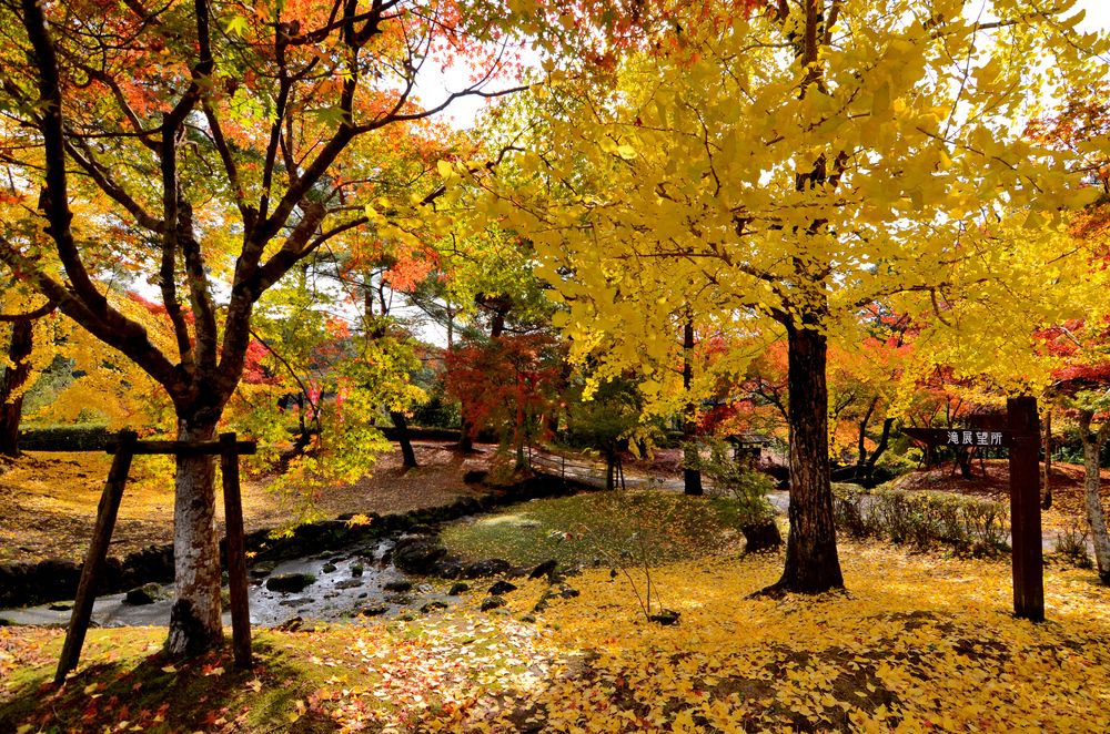 曽木の滝公園の画像 - 3枚目
