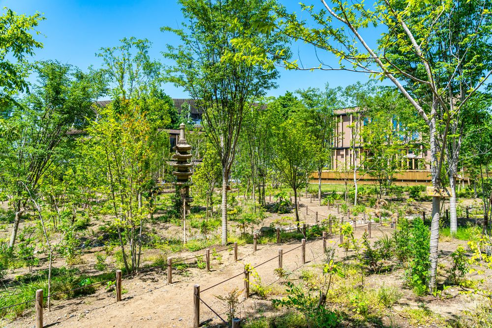 都立明治公園の画像 - 3枚目