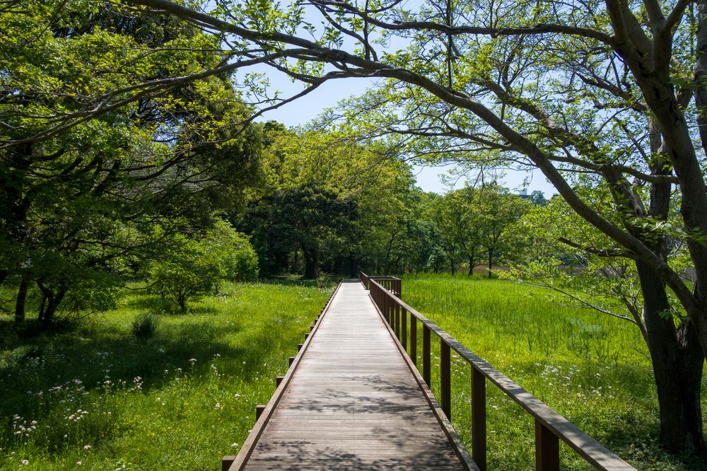 一碧湖の画像 - 3枚目