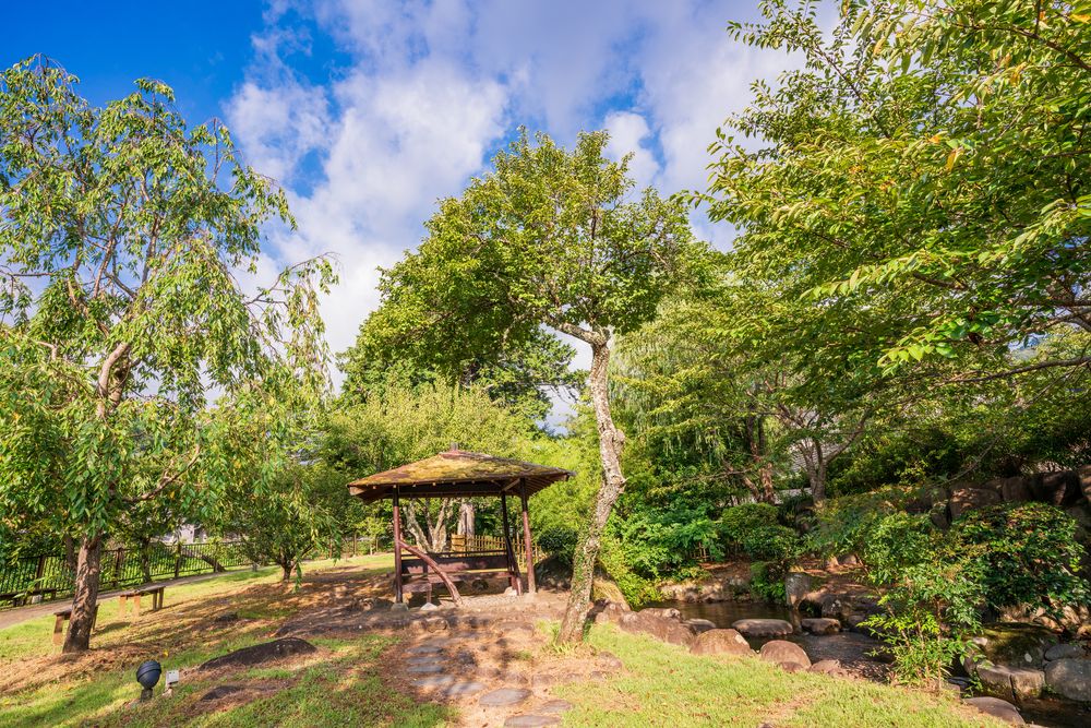修善寺自然公園の画像 - 2枚目