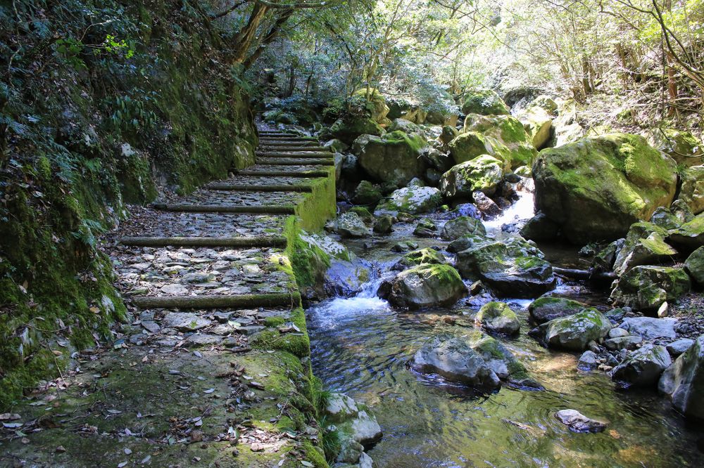 大樽の滝の画像 - 2枚目