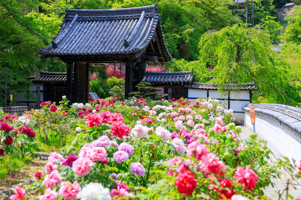 長谷寺