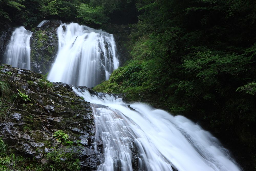 八重滝の画像 - 2枚目