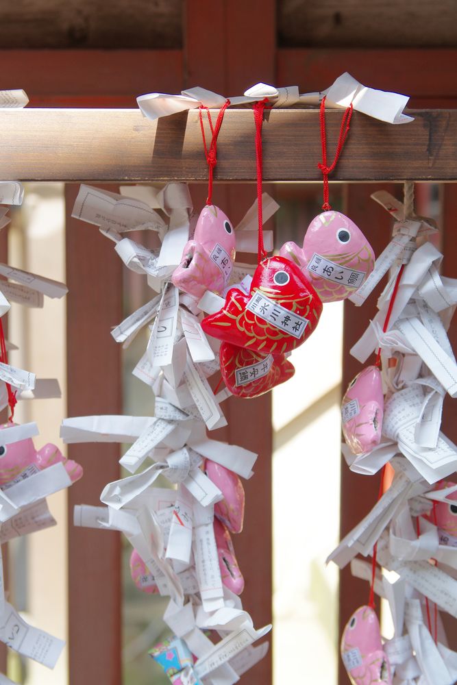 川越氷川神社の画像 - 3枚目