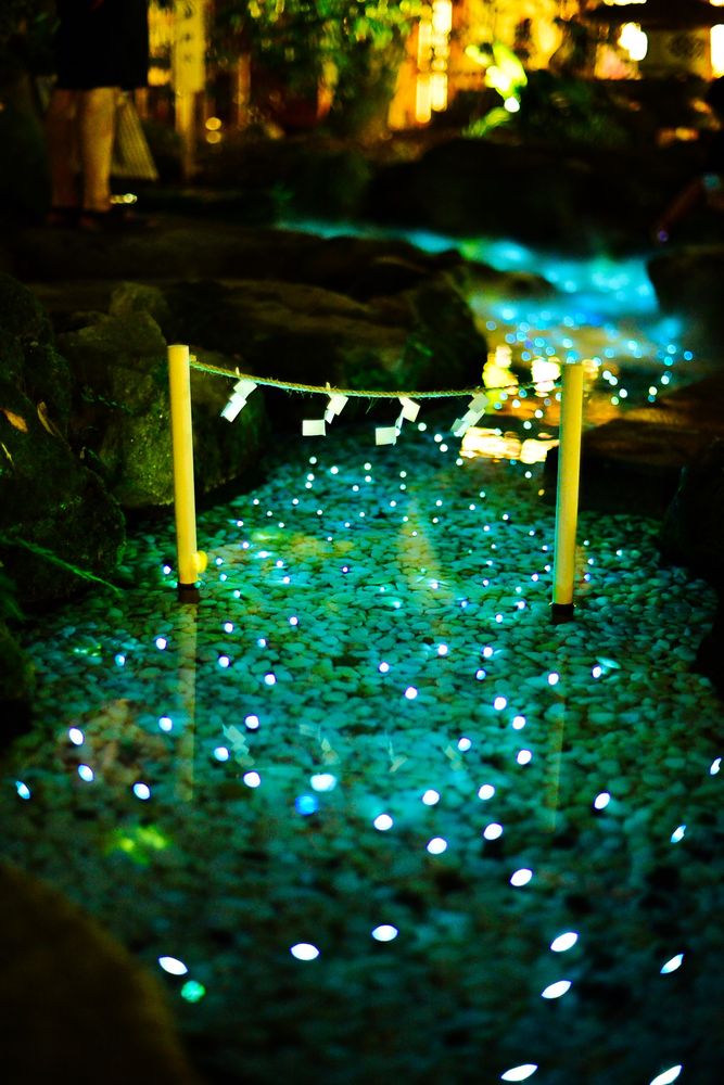 川越氷川神社の画像 - 4枚目