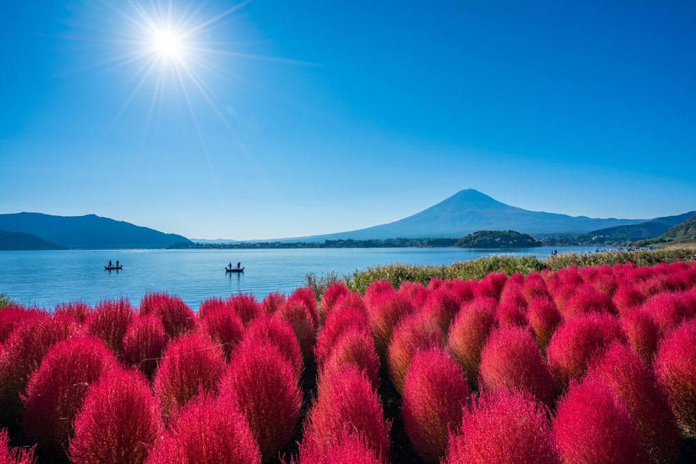大石公園の画像 - 2枚目