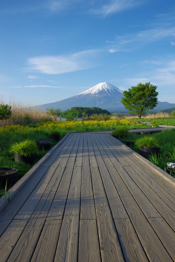 大石公園の画像 - 3枚目