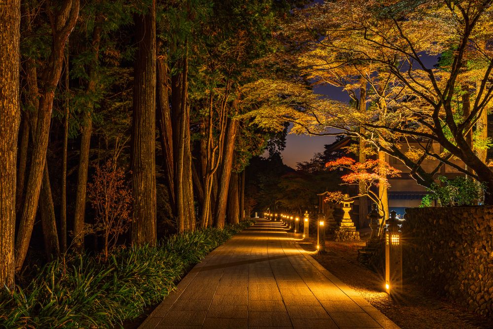 法多山 尊永寺の画像 - 3枚目