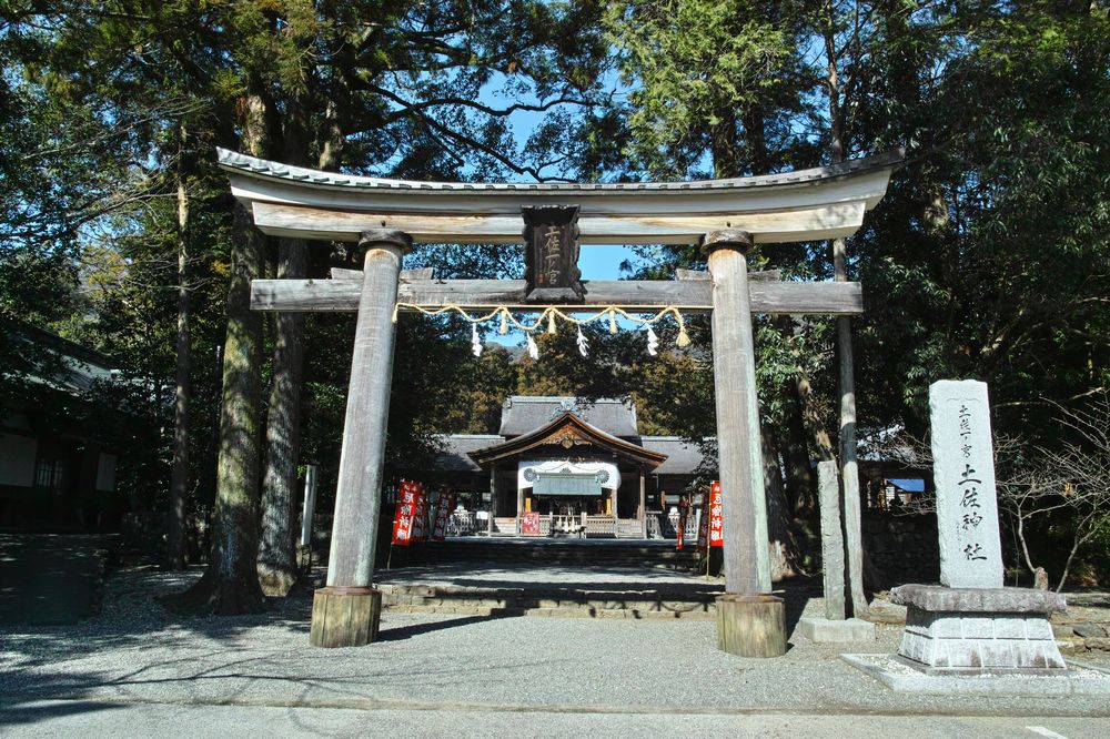 土佐神社の画像 - 3枚目