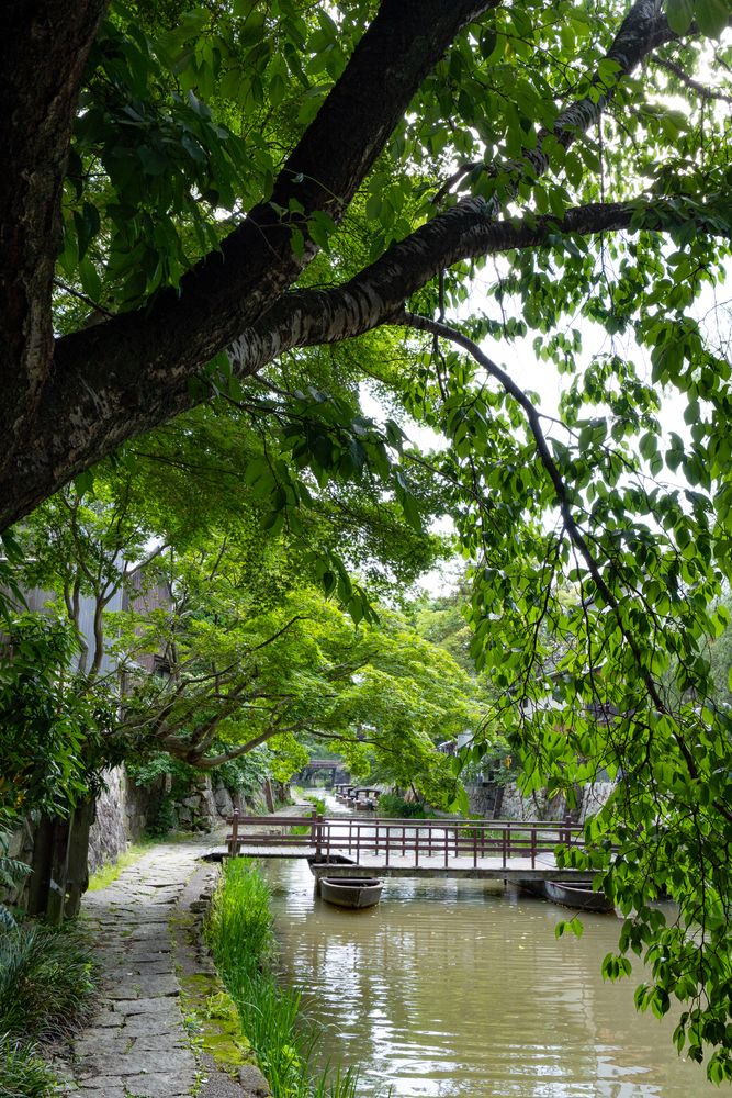 近江八幡堀 八幡堀】の周辺スポット・アクセス・口コミ - Prism Japan