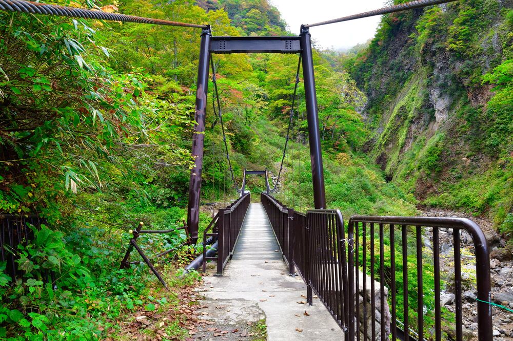 惣滝の画像 - 3枚目