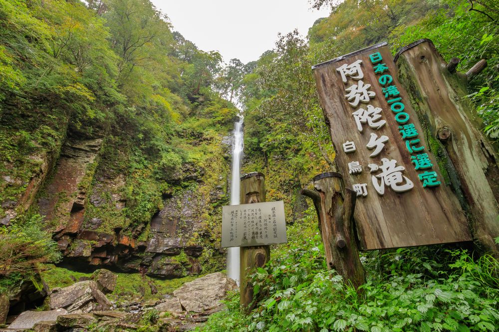 阿弥陀ケ滝の画像 - 2枚目