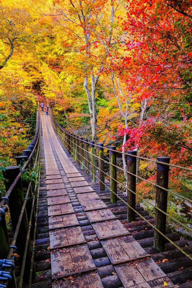 花貫渓谷】の周辺スポット・アクセス・口コミ - Prism Japan