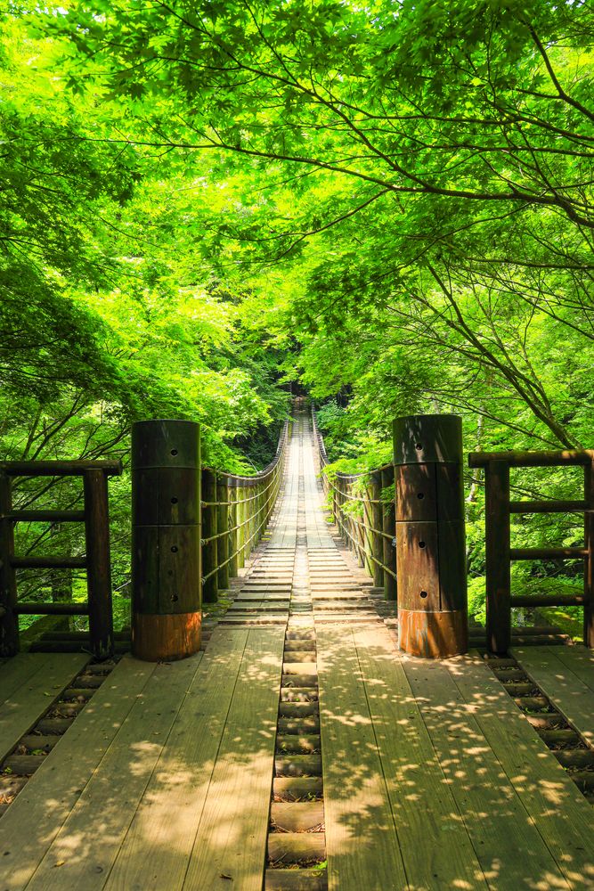 花貫渓谷】の周辺スポット・アクセス・口コミ - Prism Japan