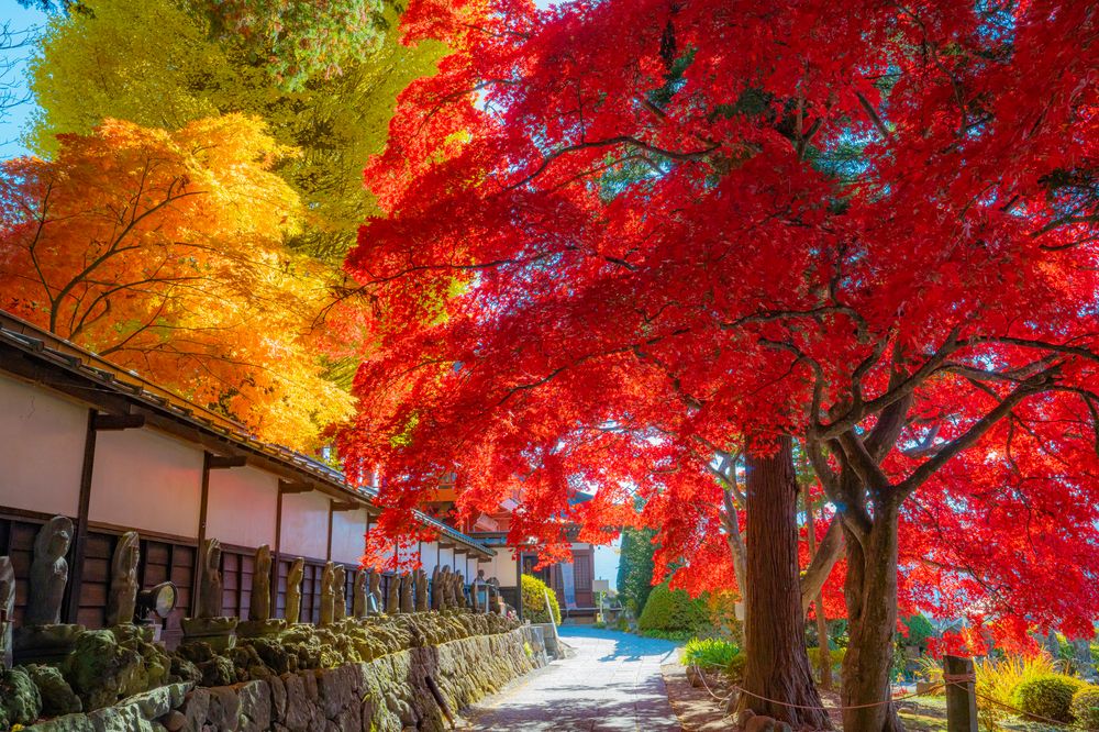 長円寺（長圓寺）の画像 - 2枚目