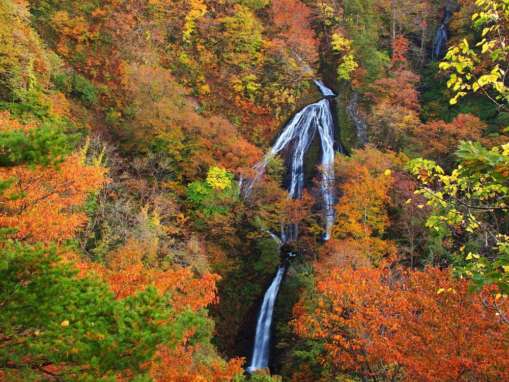 七ツ滝の画像 - 2枚目