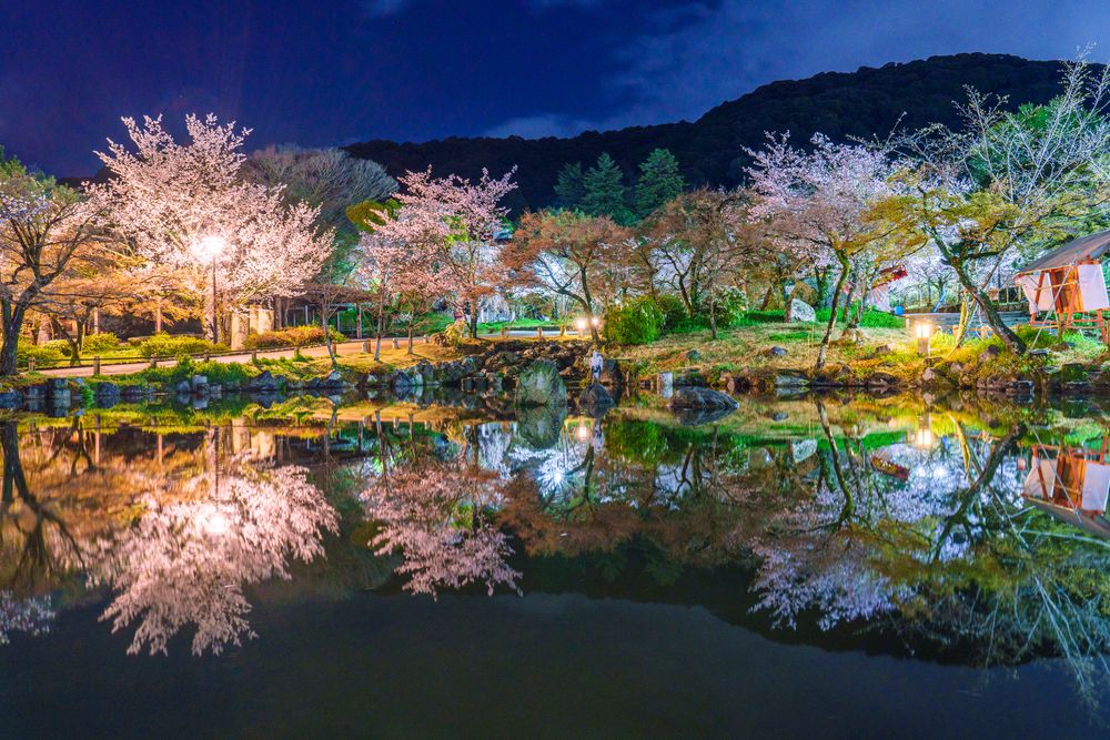 円山公園の画像 - 3枚目