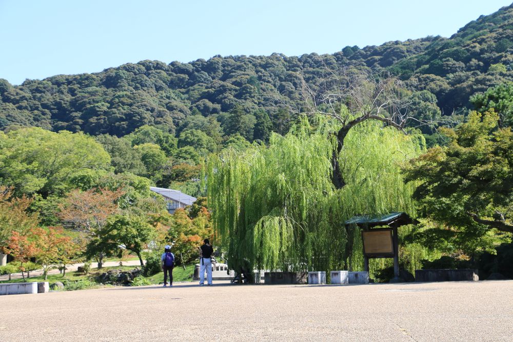円山公園の画像 - 6枚目