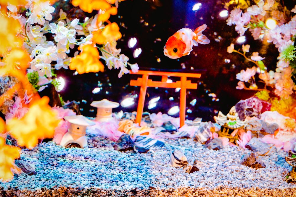 奈良金魚ミュージアムの画像 - 3枚目