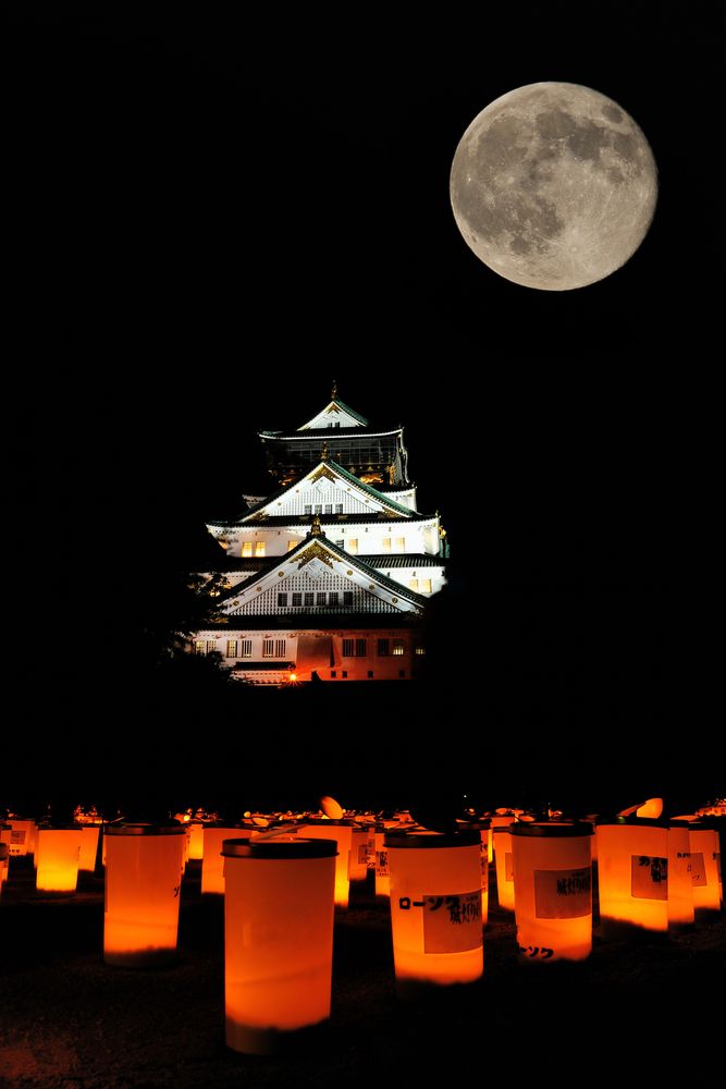 大阪城の画像 - 2枚目