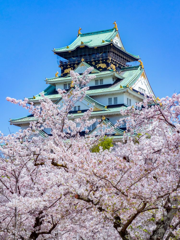 大阪城の画像 - 4枚目