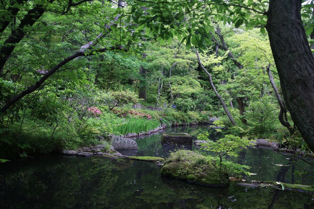 根津美術館の画像 - 2枚目