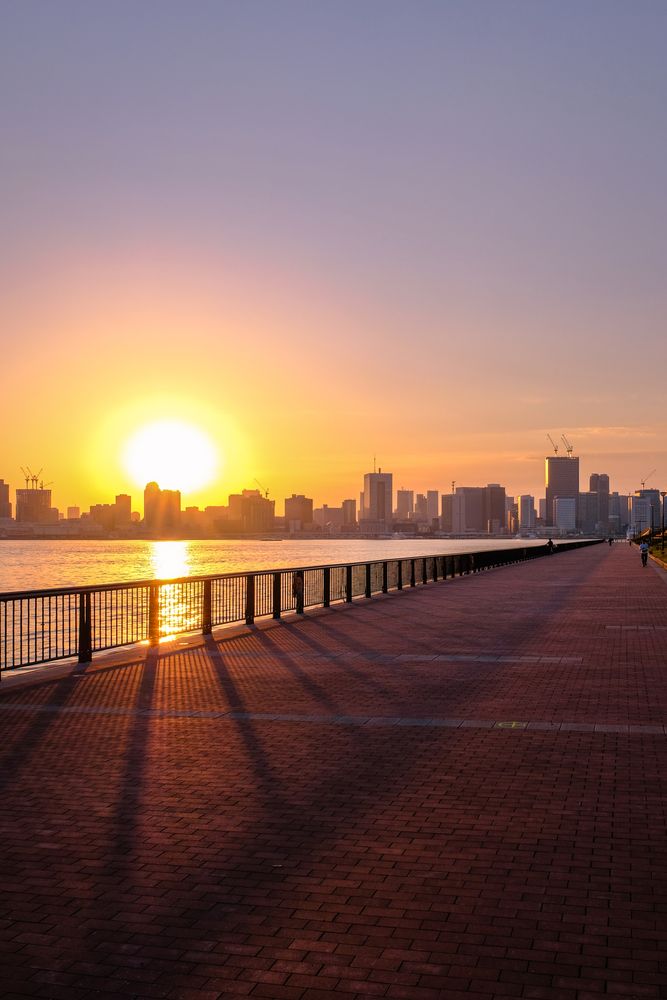 豊洲ぐるり公園の画像 - 4枚目