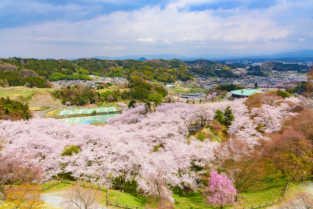 福島県立霞ヶ城公園】の周辺スポット・アクセス・口コミ - Prism Japan