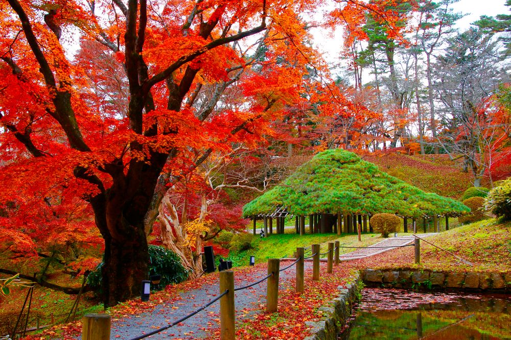 福島県立霞ヶ城公園の画像 - 3枚目