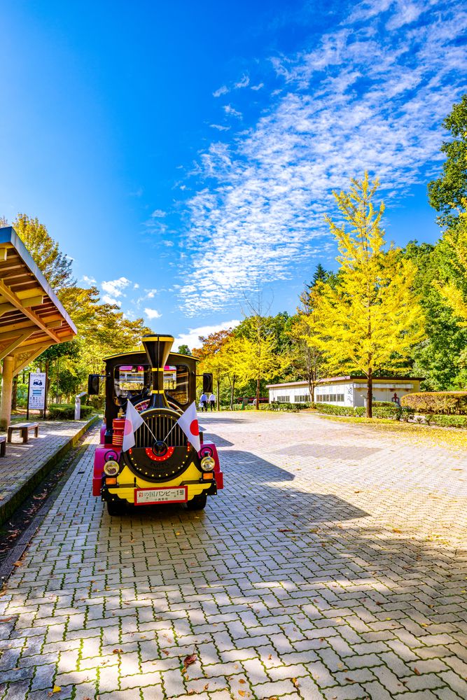 秩父ミューズパークの画像 - 4枚目