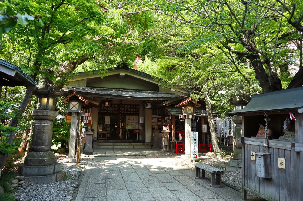 洲崎神社の画像 - 2枚目